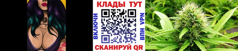 Купить наркотики сайты Судогда ОМГ ОМГ ТОР  Меф мяу мяу  А ПВП 