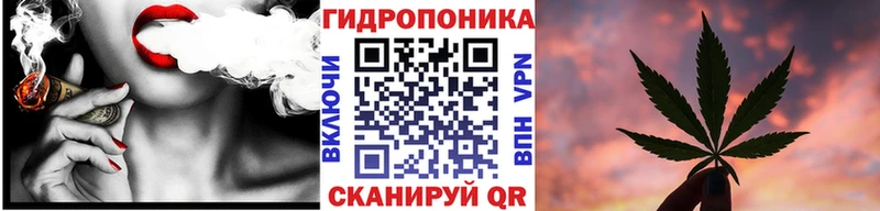 Каннабис SATIVA & INDICA  Судогда 
